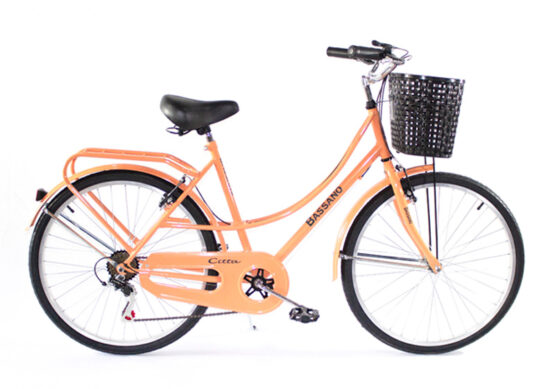 Vintage c/cambios - Mujer 26"